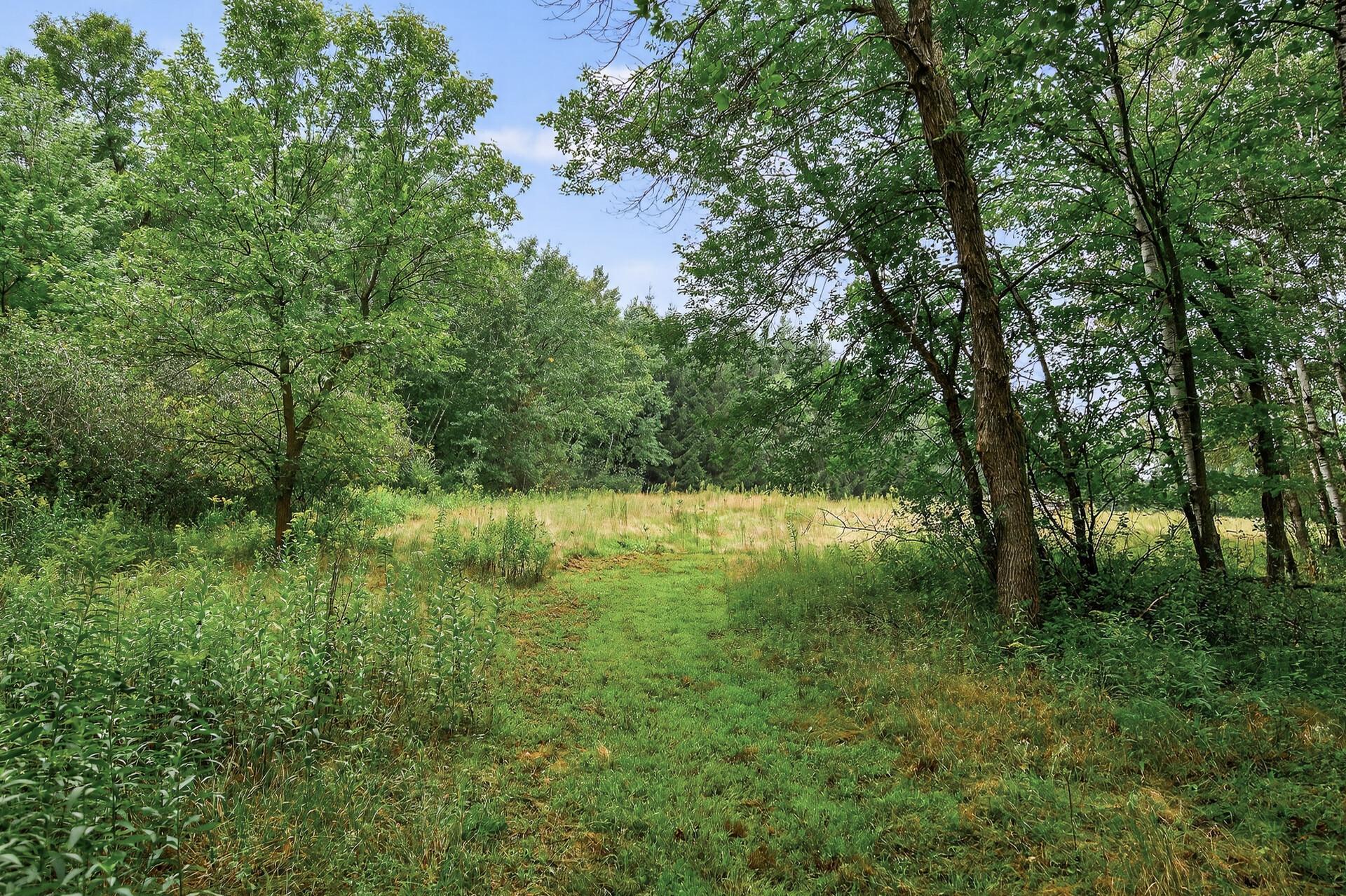 28124 100th Street Northwest Zimmerman, MN 55398 - Photo 35 of 43