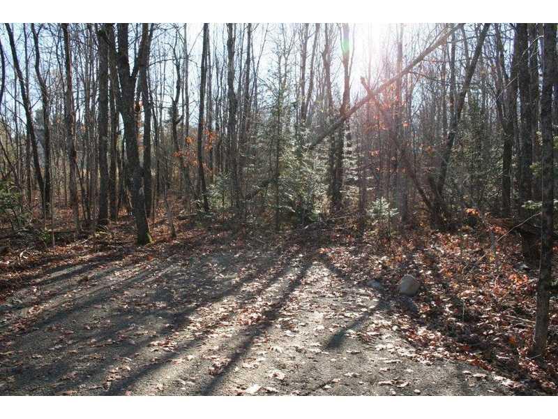 1243 Carmel Road North Hampden, ME 04444 - Photo 5 of 17 Land/Lot.