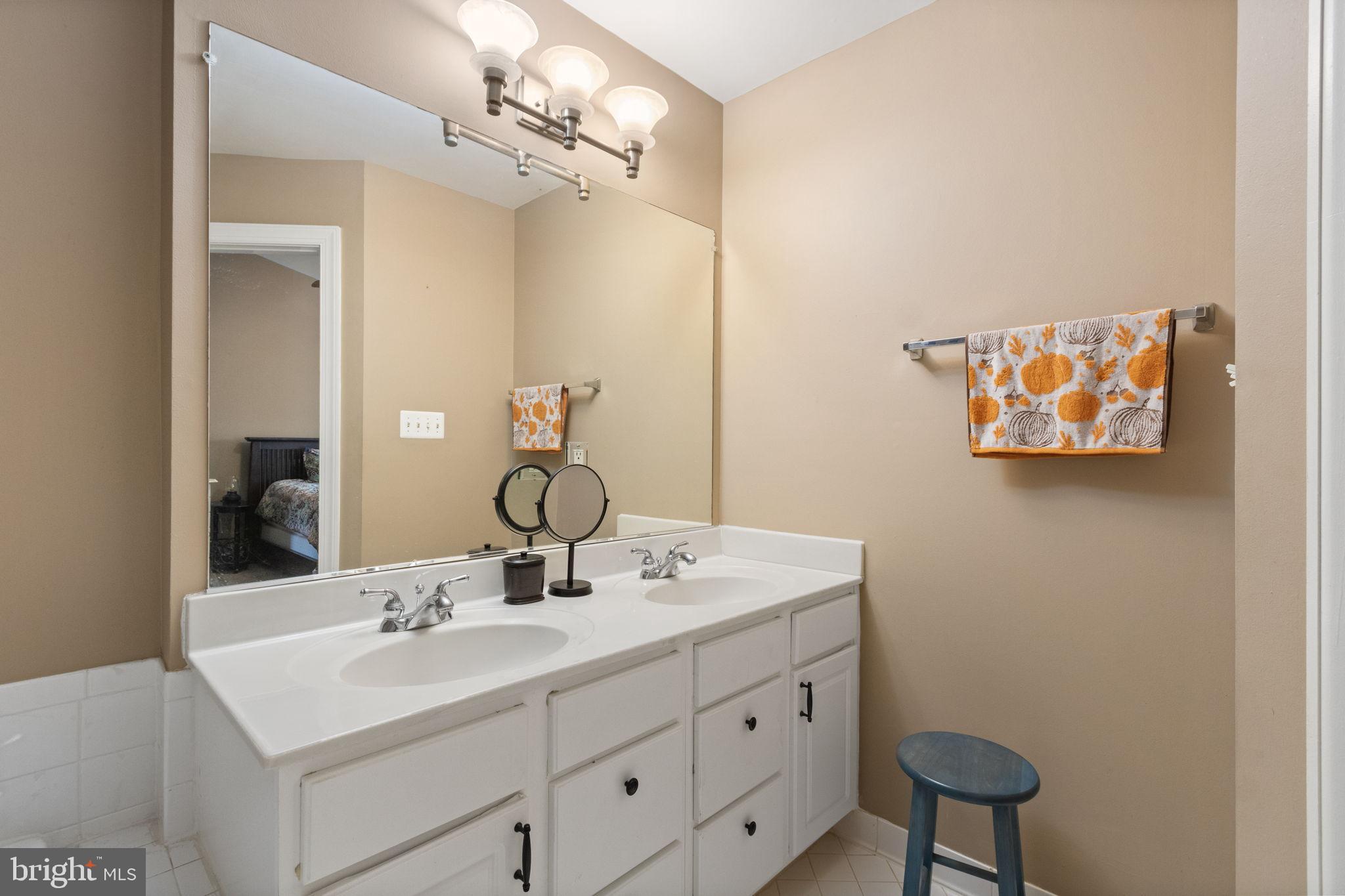 15636 Avocet Loop Woodbridge, VA 22191 - Photo 38 of 60 a bathroom with a sink vanity and a mirror