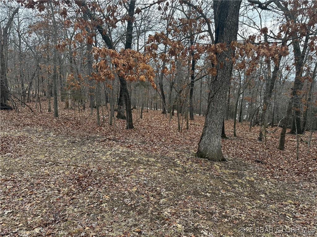 314 Grand Point Boulevard Sunrise Beach, MO 65079 - Photo 2 of 4