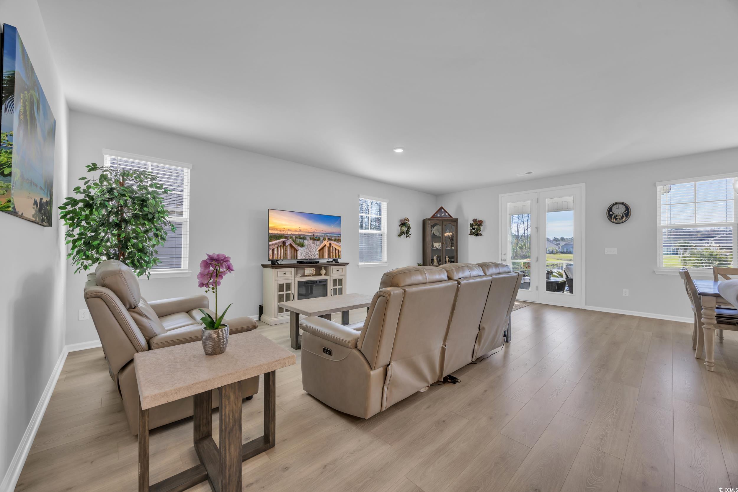 223 Juniata Loop Little River, SC 29566 - Photo 19 of 39 Living room featuring plenty of natural light, bas