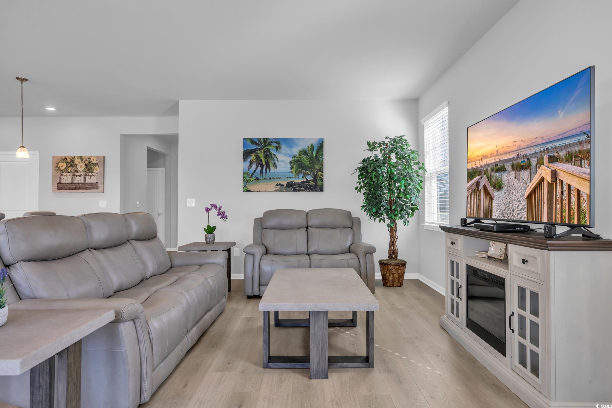 223 Juniata Loop Little River, SC 29566 - Photo 20 of 39 Living area with baseboards and light wood-type fl