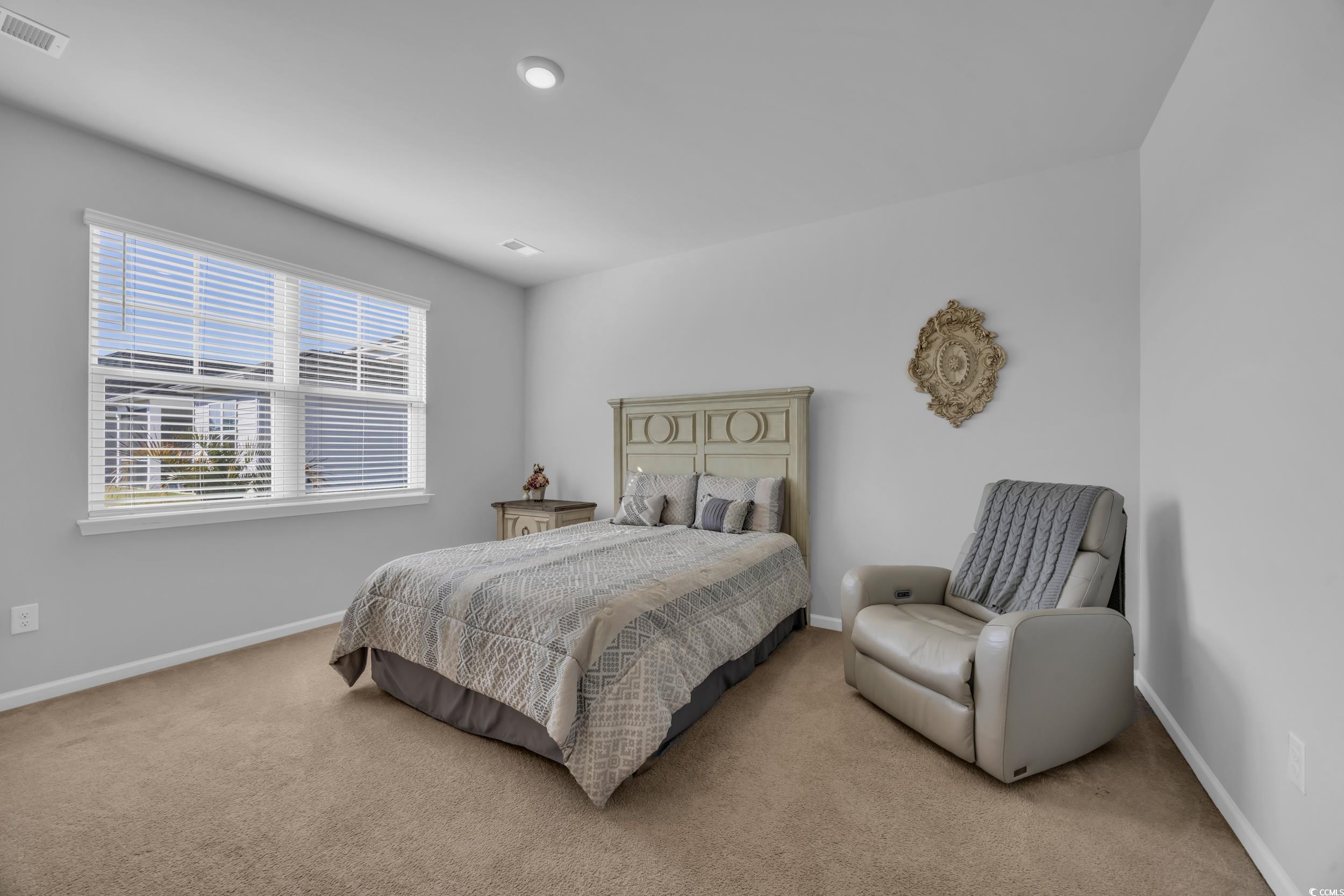 223 Juniata Loop Little River, SC 29566 - Photo 25 of 39 Bedroom featuring carpet floors, baseboards, and v
