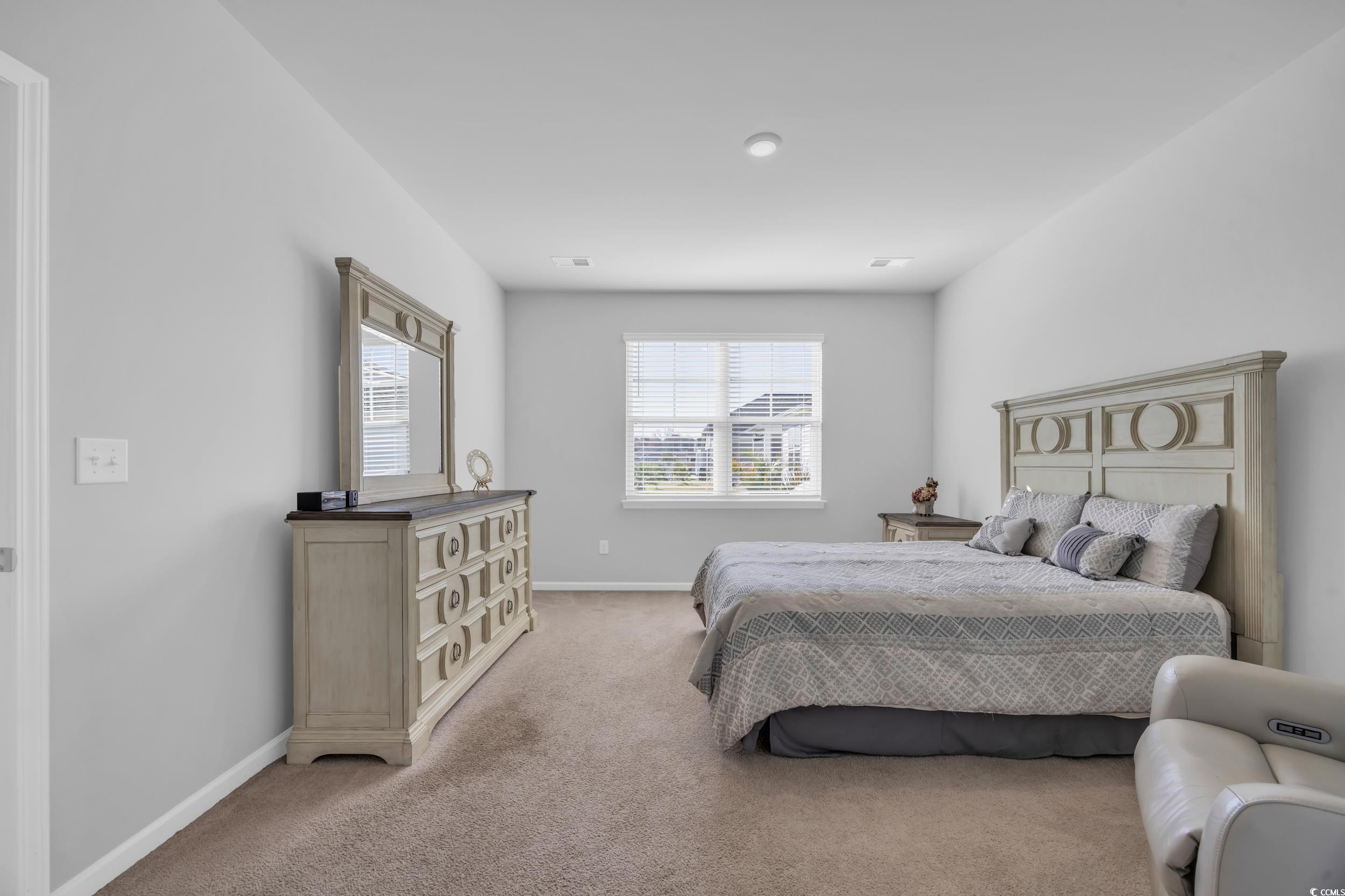 223 Juniata Loop Little River, SC 29566 - Photo 26 of 39 Bedroom featuring light carpet and baseboards