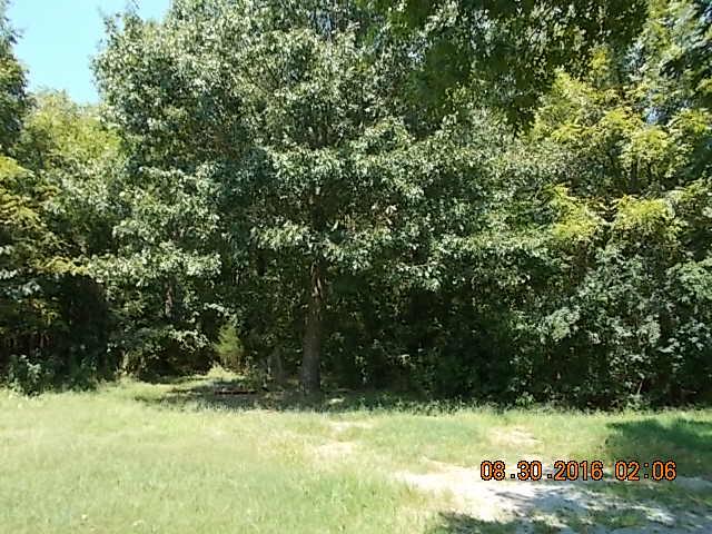 1973 South Commerce Road Watertown, TN 37184 - Photo 18 of 22 a view of a yard with wooden fence