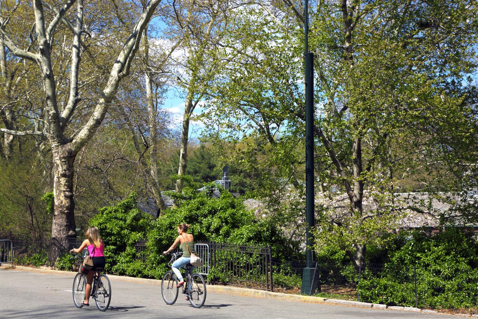 101 West 55th Street, Unit 701 Manhattan, NY 10019 - Photo 10 of 11 an outdoor space with lots of trees