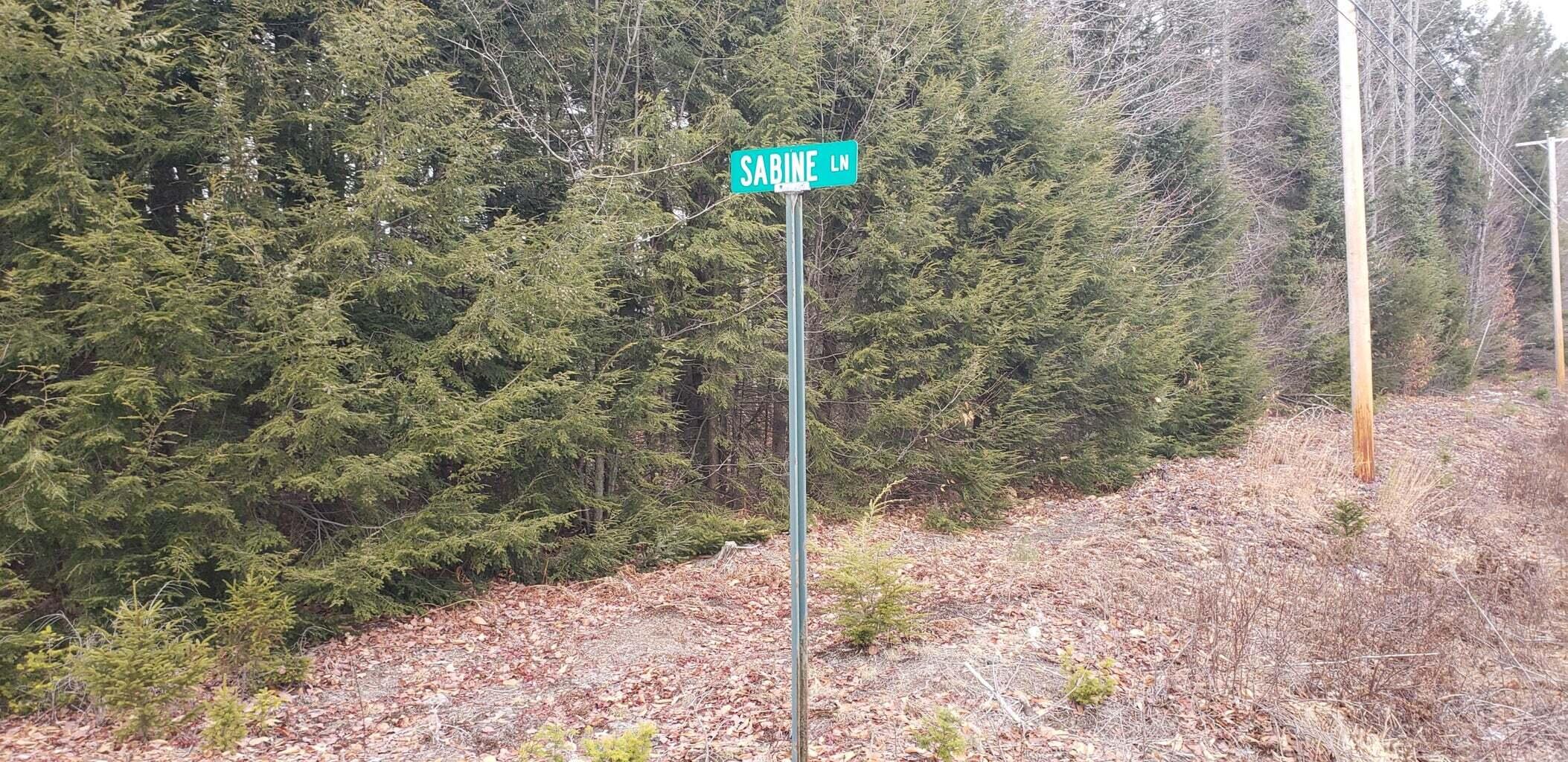 20210204224522395883000000-o