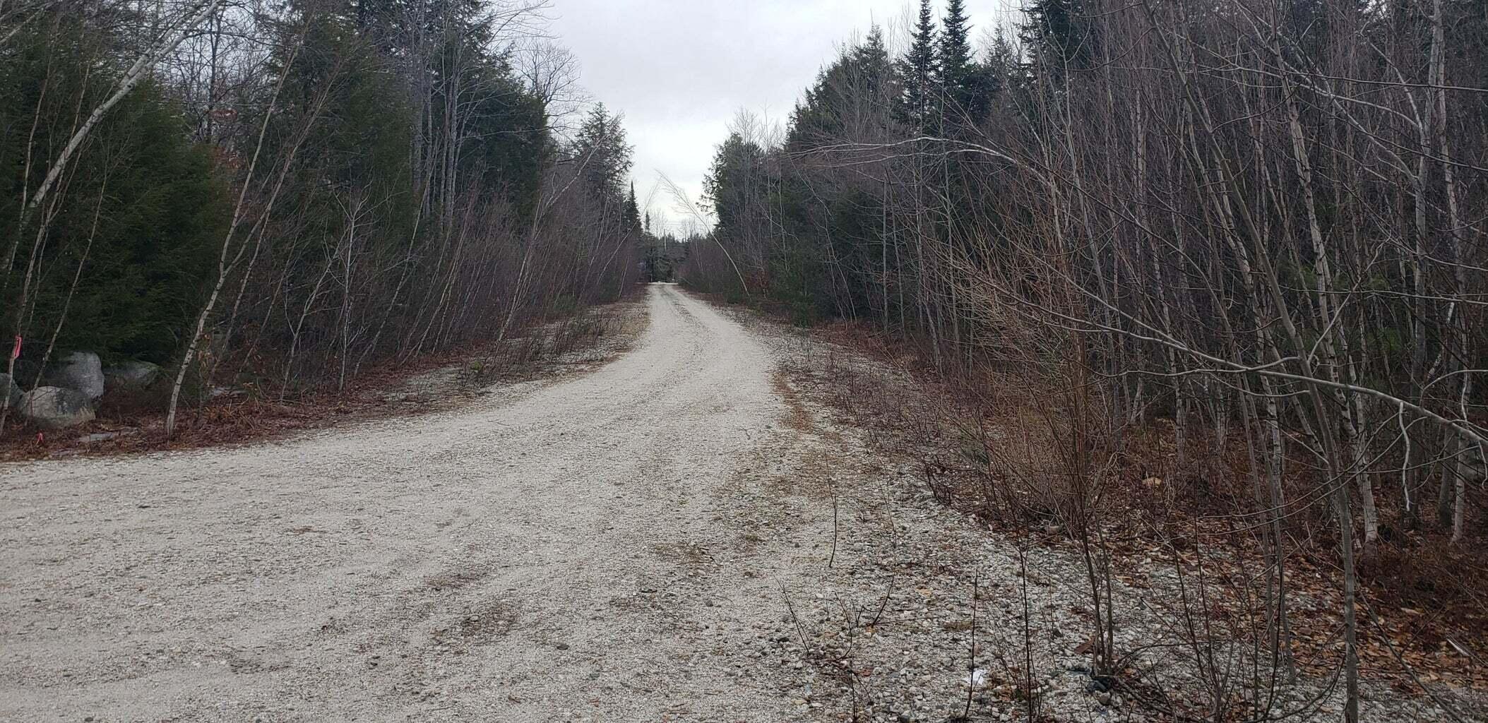 Tbd Tbd Sabine Lane Harrison, ME 04040 - Photo 3 of 4 20210204224549205778000000-o