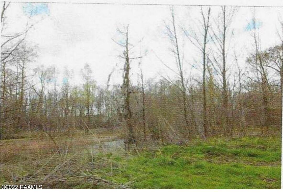 1802 Beau Bassin Road Carencro, LA 70520 - Photo 7 of 8 Untitled design (20)