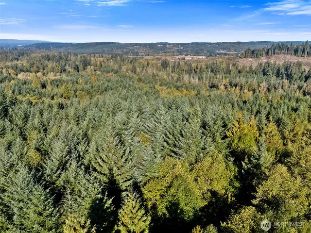 a view of a city with lush green forest