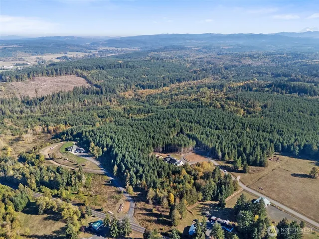 an aerial view of residential house with green space