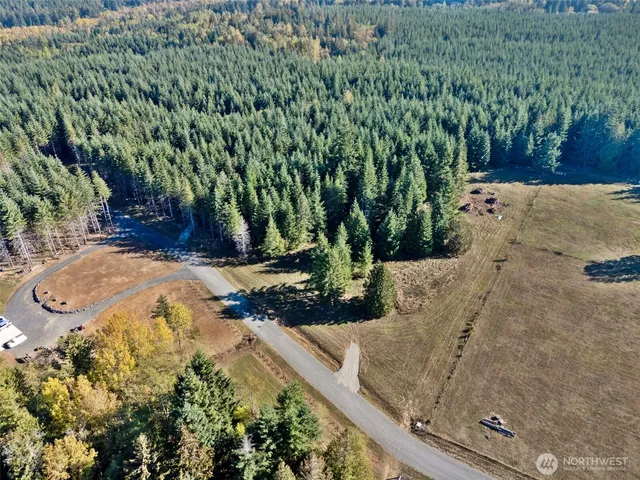 a view of a yard with plants