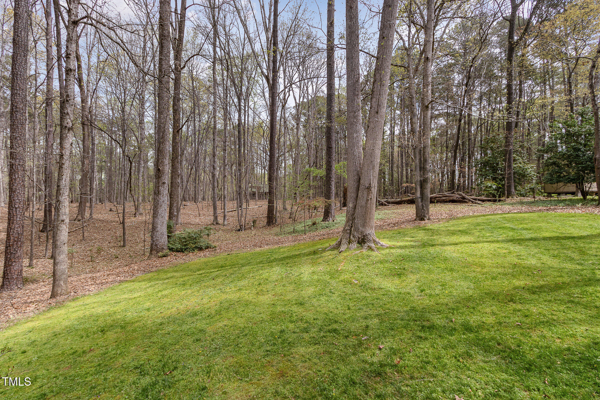7212 Rabbit Run Wake Forest, NC 27587 - Photo 29 of 32 a backyard of a house with lots of green space and deers