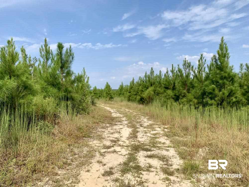 0 Country Road Mobile, AL 36608 - Photo 7 of 27