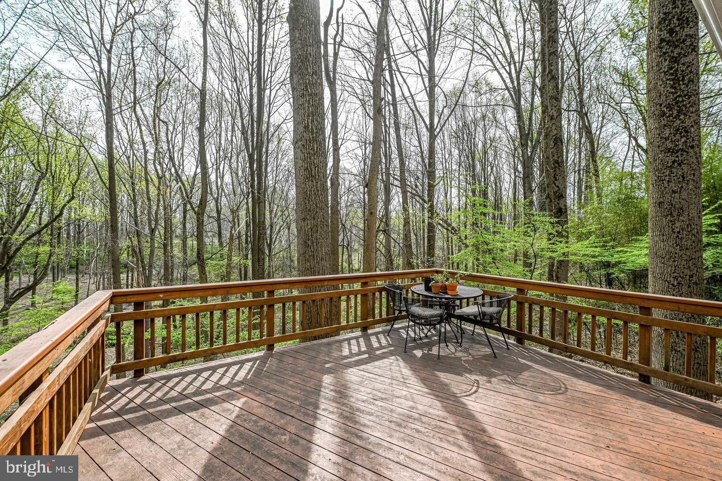 1328 Potomac School Road McLean, VA 22101 - Photo 27 of 31