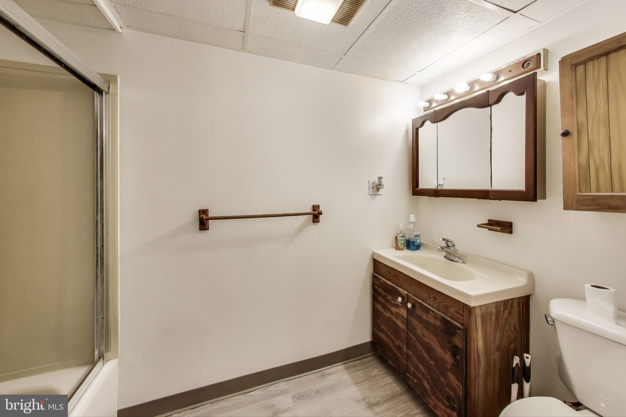 1804 Ironton Drive Oxon Hill, MD 20745 - Photo 18 of 37 a bathroom with a sink a toilet and mirror