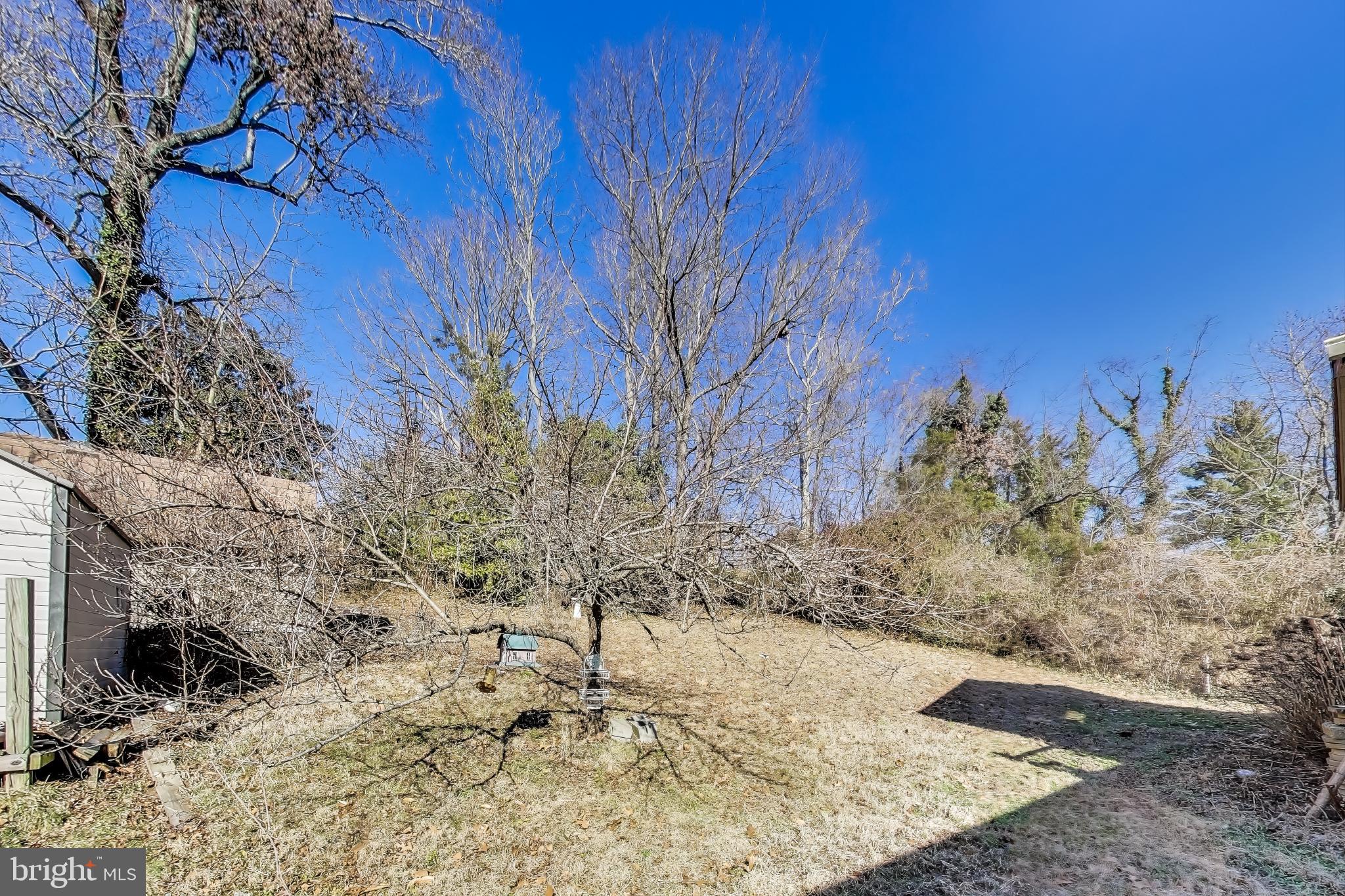1804 Ironton Drive Oxon Hill, MD 20745 - Photo 36 of 37 a view of a yard covered with snow