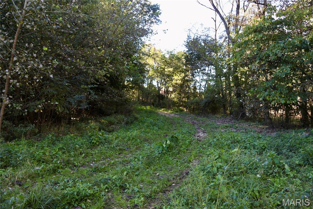 1 Landmark Road Iuka, IL 62849 - Photo 14 of 40 Gallery Image 14