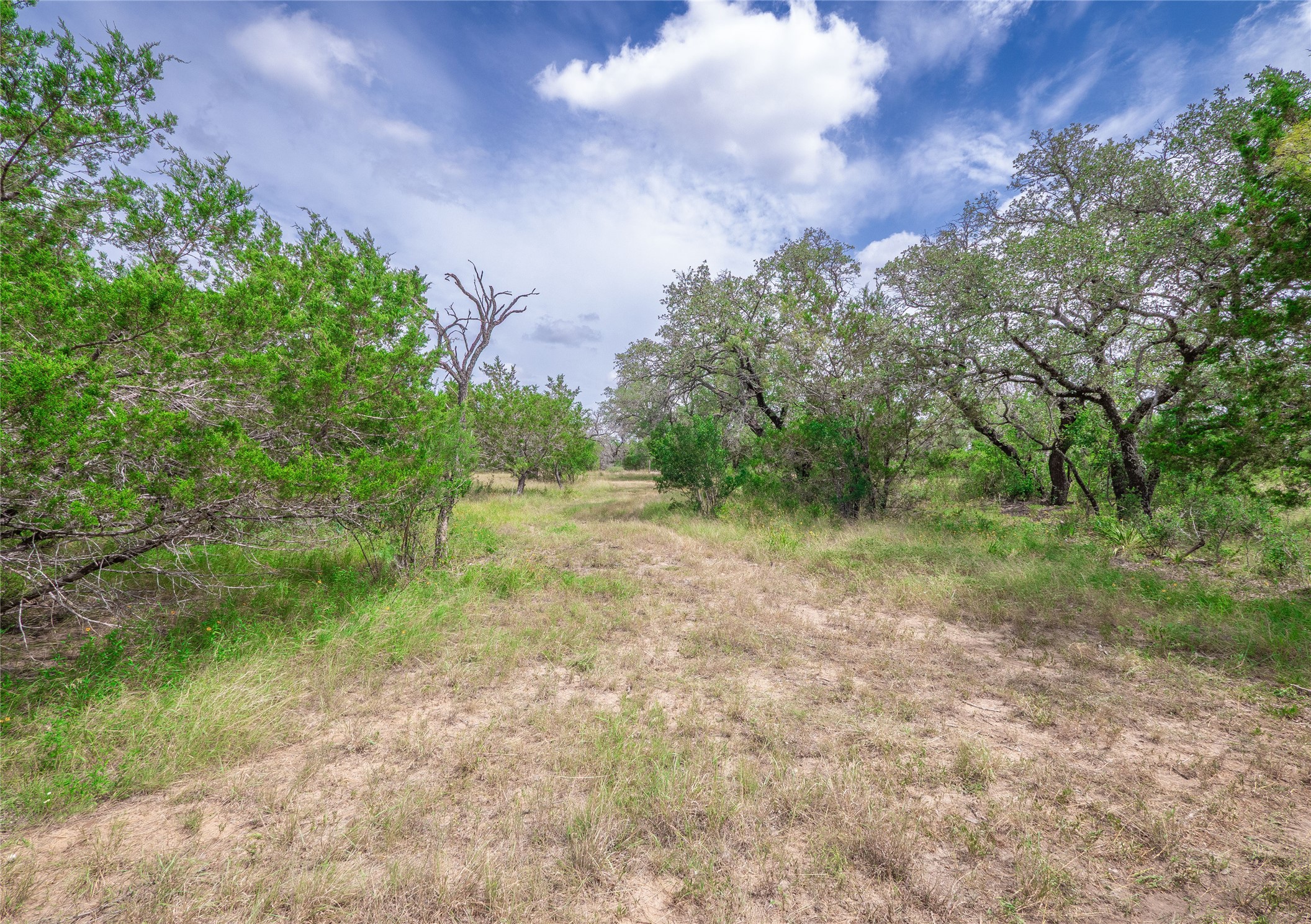 Tbd Winnie Smith Road Round Mountain, TX 78663 - Photo 17 of 30 a view of a yard with a tree