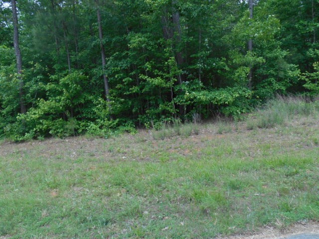 312 Lakeview Trail Rockingham, NC 28379 - Photo 1 of 1 Primary Photo