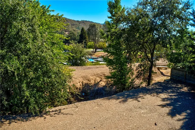 a view of a pathway with a tree
