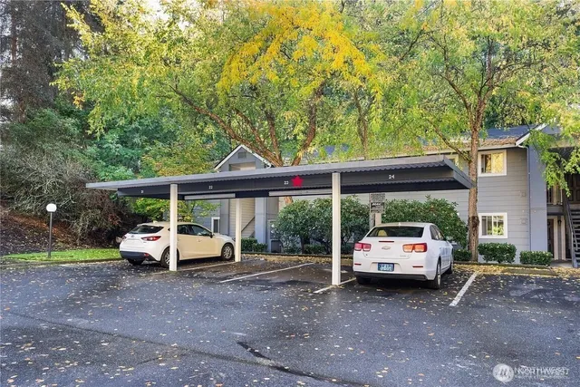 a white house covered with tall trees