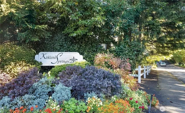 a view of a garden with large trees