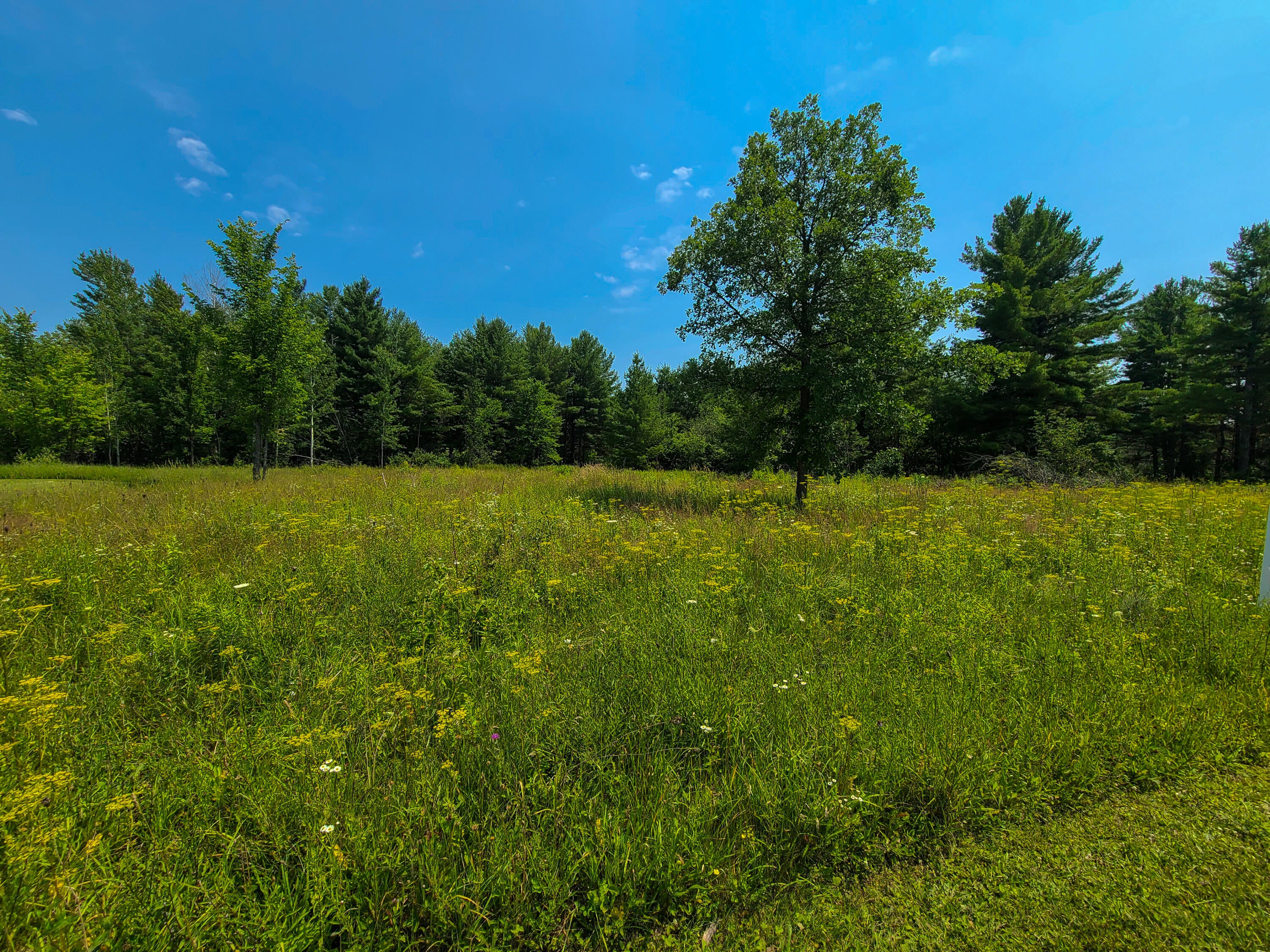 Lot #12 Rivers Ridge Court Cheboygan, MI 49721 - Photo 8 of 11 Gallery Image 8