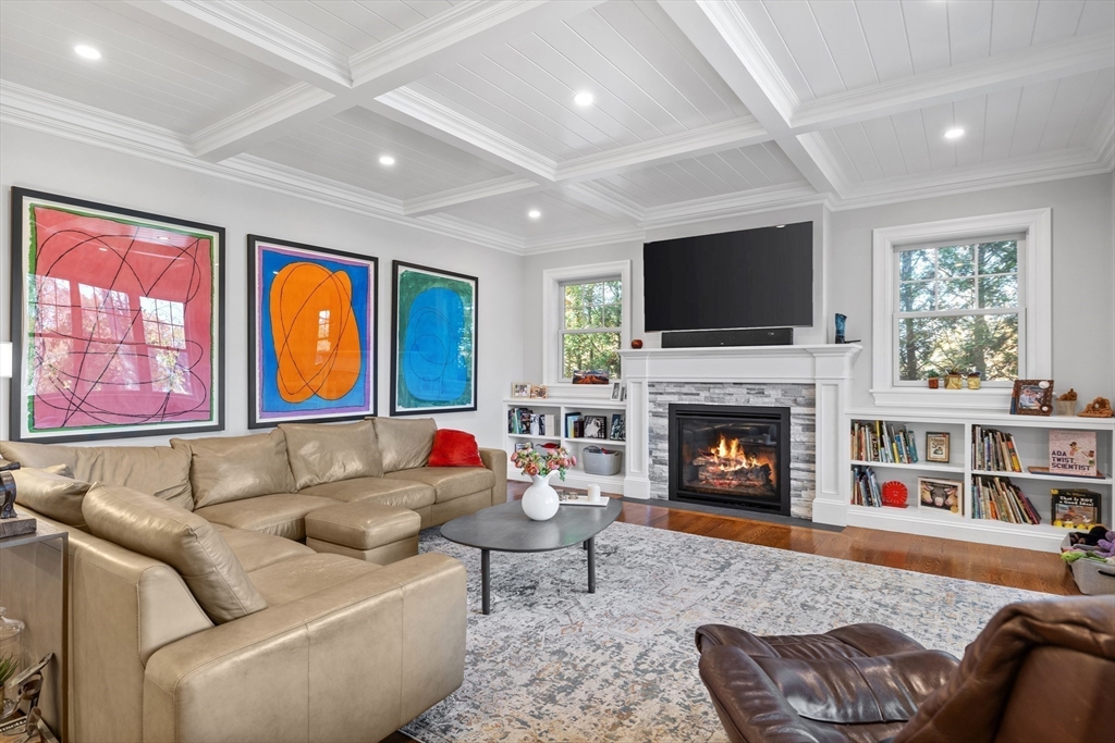 217 Hillcrest Road Needham, MA 02492 - Photo 5 of 17 a living room with furniture a fireplace and a flat screen tv