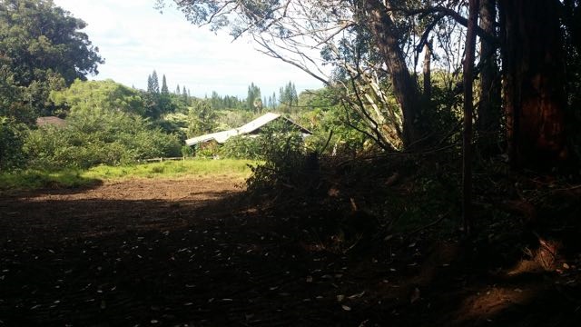 150 Kapuai Road Haiku, HI 96708 - Photo 1 of 25 a view of lake from yard