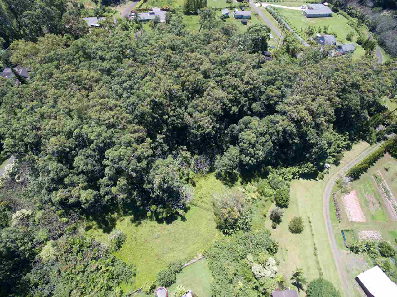 150 Kapuai Road Haiku, HI 96708 - Photo 12 of 25 an aerial view of a house with a yard