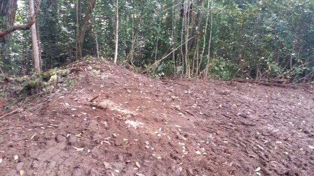 150 Kapuai Road Haiku, HI 96708 - Photo 16 of 25 a view of outdoor space with trees