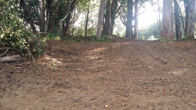 150 Kapuai Road Haiku, HI 96708 - Photo 19 of 25 a view of a yard with trees
