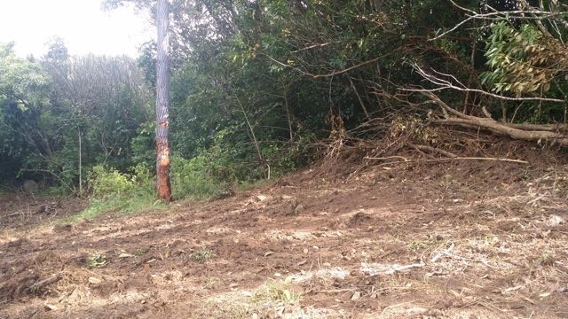 150 Kapuai Road Haiku, HI 96708 - Photo 20 of 25 a view of a yard with lots of green space and plants