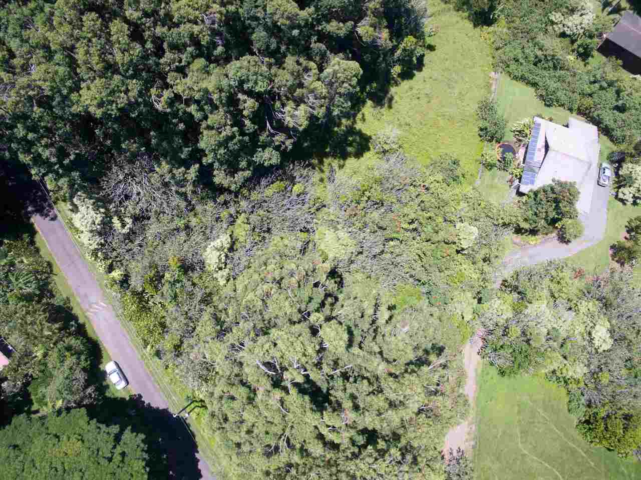 150 Kapuai Road Haiku, HI 96708 - Photo 2 of 25 a view of a yard with a tree