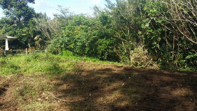 150 Kapuai Road Haiku, HI 96708 - Photo 22 of 25 a view of a yard with a tree