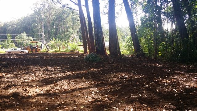 150 Kapuai Road Haiku, HI 96708 - Photo 25 of 25 a view of a yard with plants and large trees