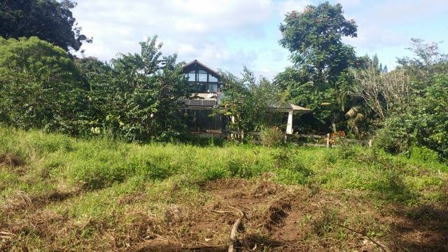 150 Kapuai Road Haiku, HI 96708 - Photo 3 of 25 a view of outdoor space and green space