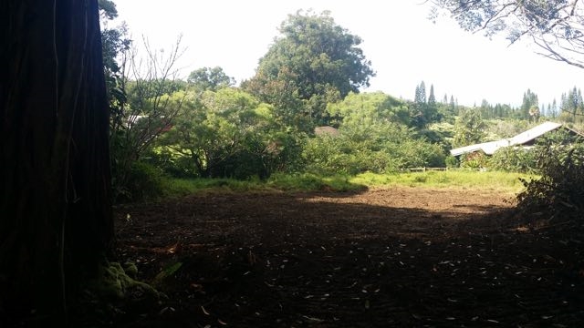 150 Kapuai Road Haiku, HI 96708 - Photo 5 of 25 a view of outdoor space and yard