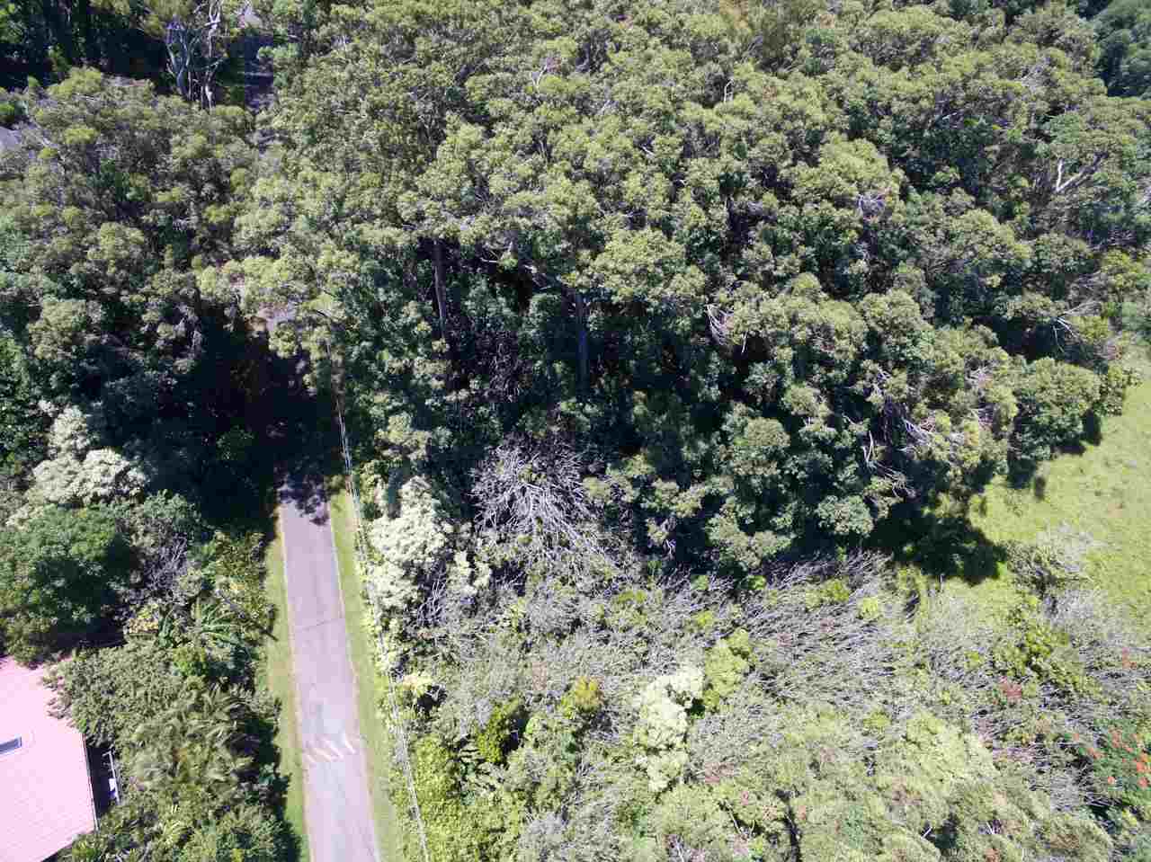 150 Kapuai Road Haiku, HI 96708 - Photo 6 of 25 a view of a forest with a tree