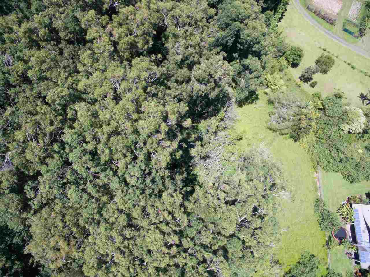 150 Kapuai Road Haiku, HI 96708 - Photo 7 of 25 a view of a yard with a tree