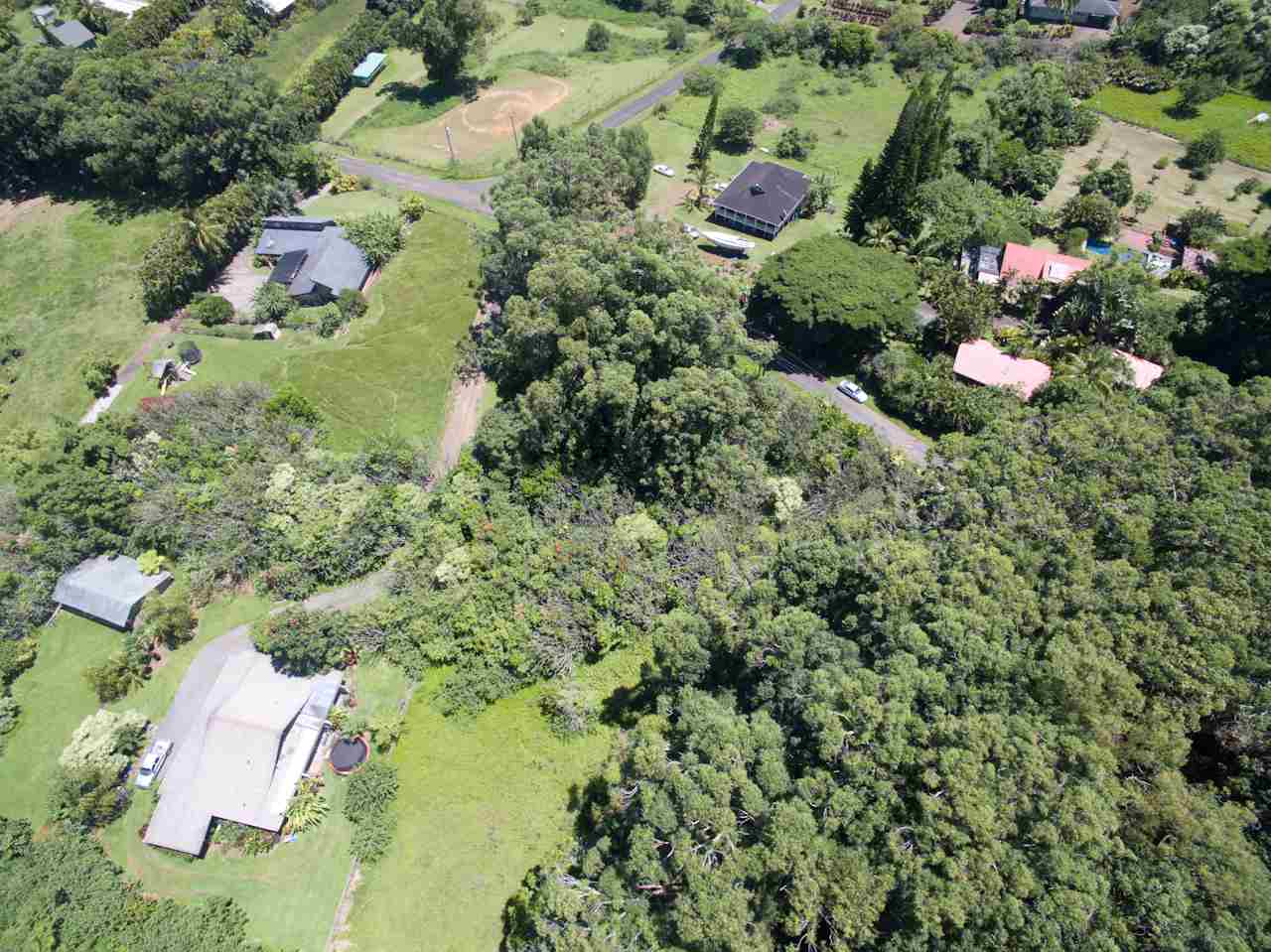 150 Kapuai Road Haiku, HI 96708 - Photo 9 of 25 a view of a garden with plants