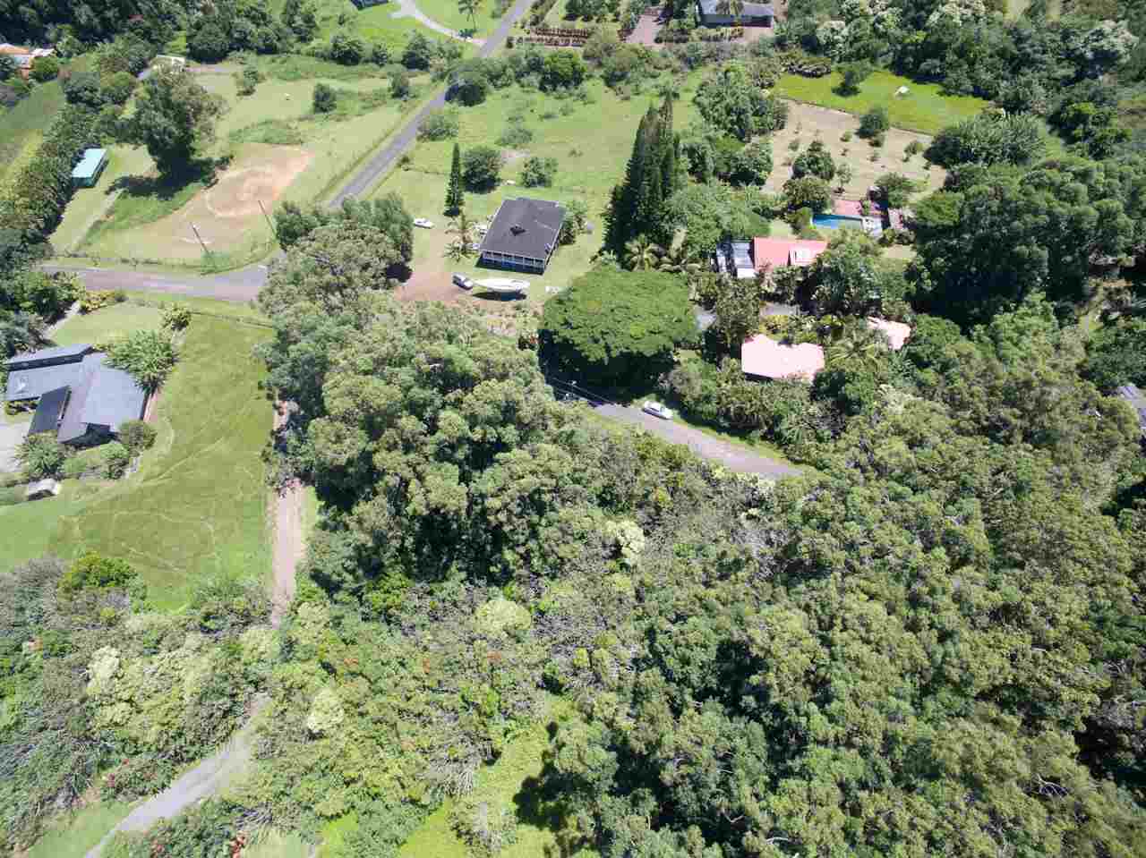 150 Kapuai Road Haiku, HI 96708 - Photo 10 of 25 a view of a garden with a tree