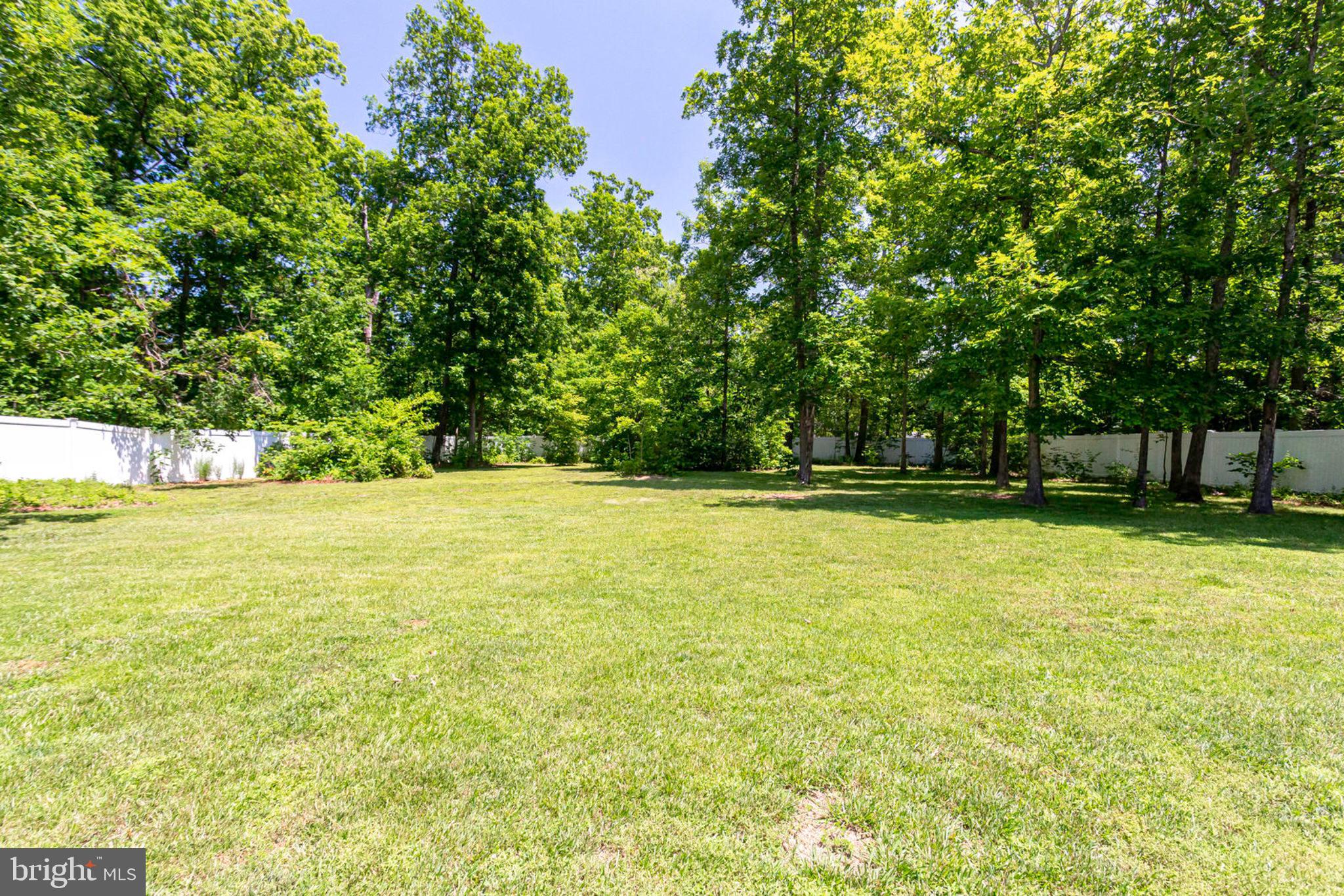 5753 Colchester Road Fairfax, VA 22030 - Photo 58 of 61 Back yard
