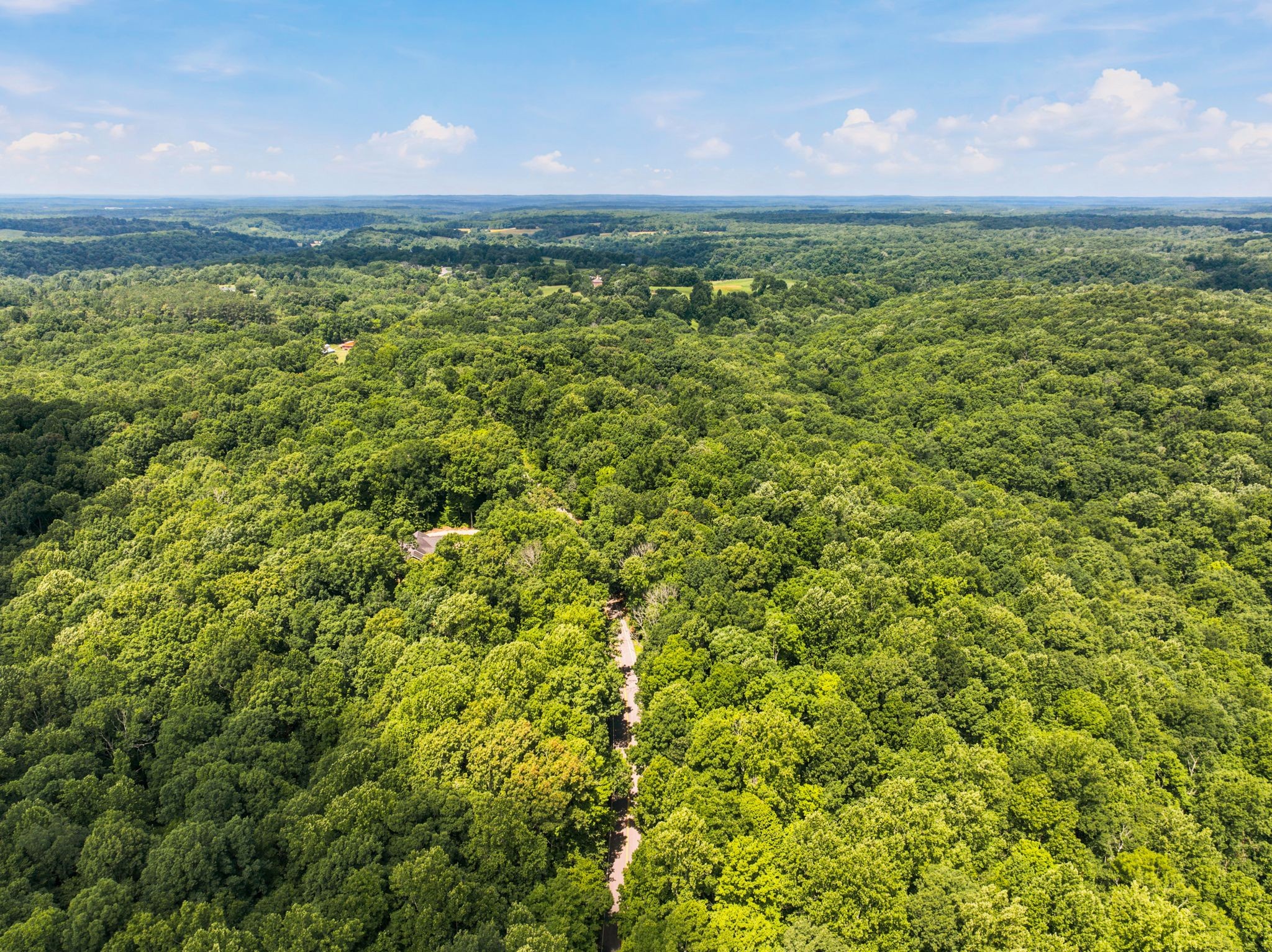 2 Greenbriar Road Franklin, TN 37064 - Photo 9 of 14