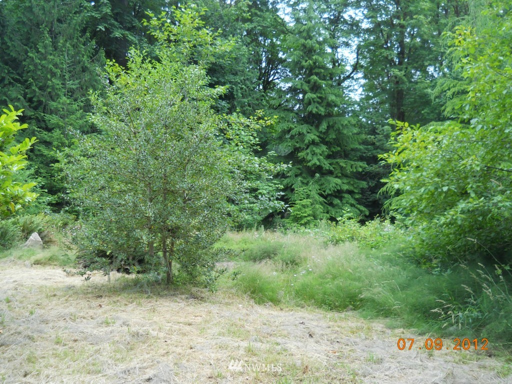 4022 Grove Road Northwest Olympia, WA 98502 - Photo 2 of 6 Gallery Image 2