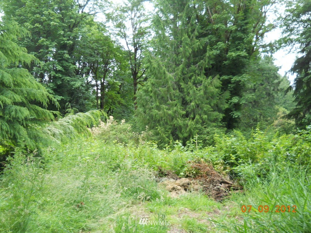4022 Grove Road Northwest Olympia, WA 98502 - Photo 5 of 6 Gallery Image 5