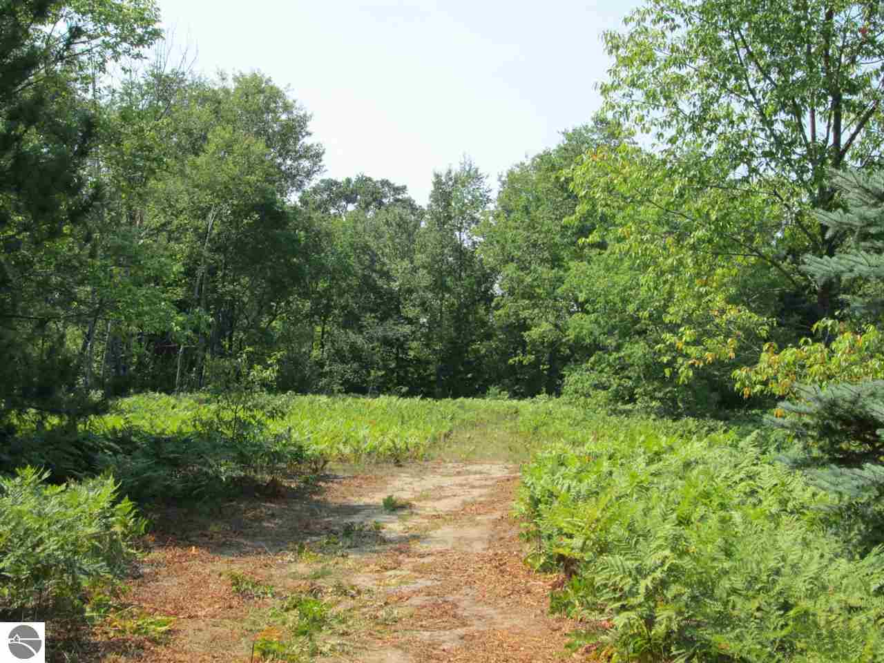 12087 Homestead Road Beulah, MI 49617 - Photo 16 of 62 1775673-15.JPG
