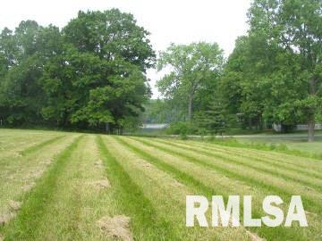 415 Edgewood Road Salem, IL 62881 - Photo 5 of 6 Gallery Image 5