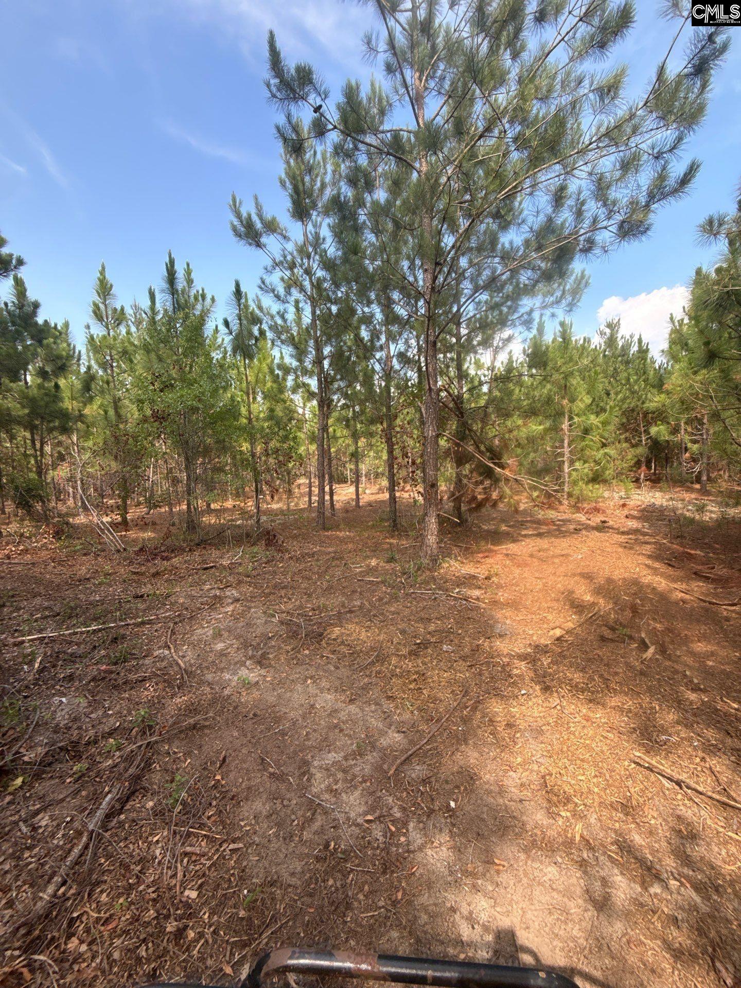 3 State Rd S-28-31 Road Cheraw, SC 29520 - Photo 9 of 10 Gallery Image 9